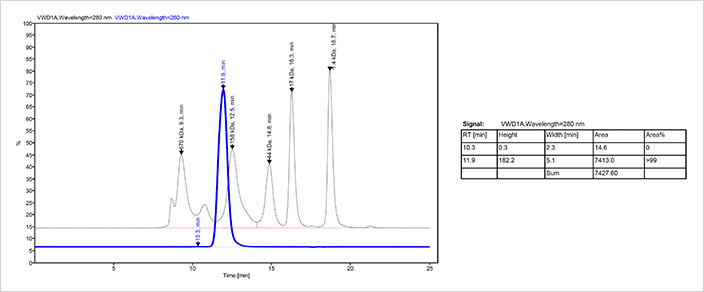 Fc fusion protein 1 SEC-HPLC Fc fusion protein 1 SEC-HPLC
