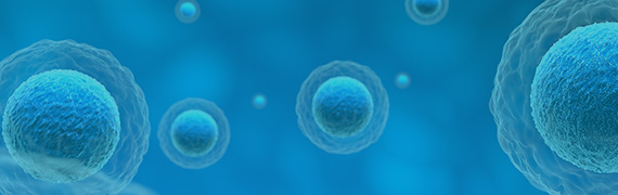 Stable Cell Line Development Banner