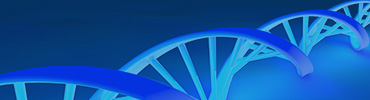 Molecular Biology