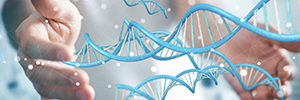 Lentivirus vector manufacturing using suspension cell line