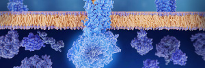Speed up Your Drug Discovery with Ready-to-use Stable Cell Lines