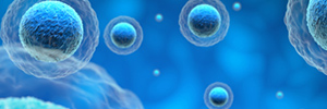 Stable Cell Line Catalog Products for Immune Checkpoints Drug Discovery