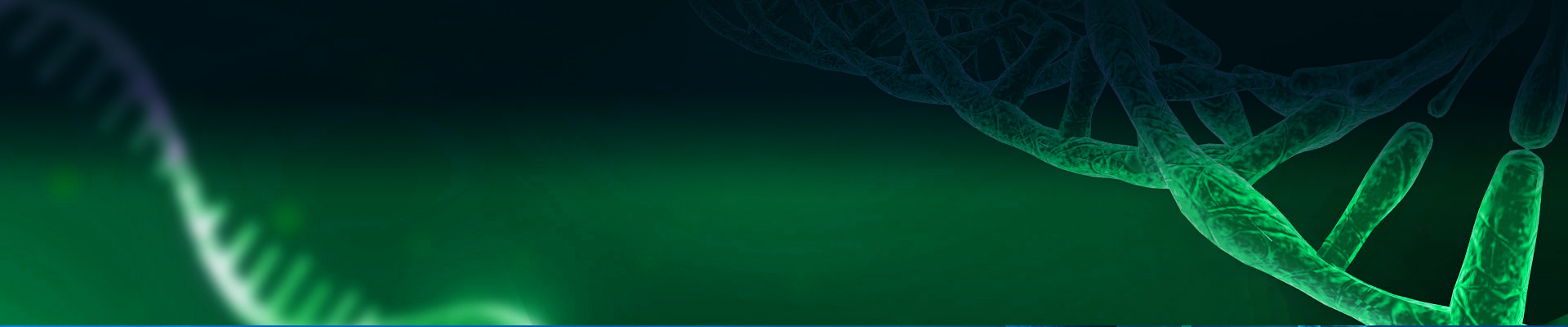 mRNA QC Services
