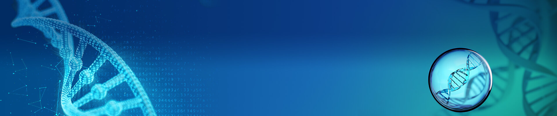 GLP Grade Plasmid DNA Preparation Banner