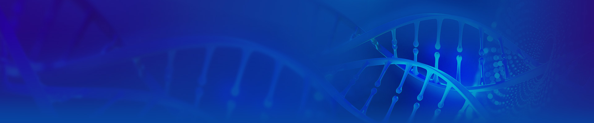 GenWand™ Single-Stranded DNA