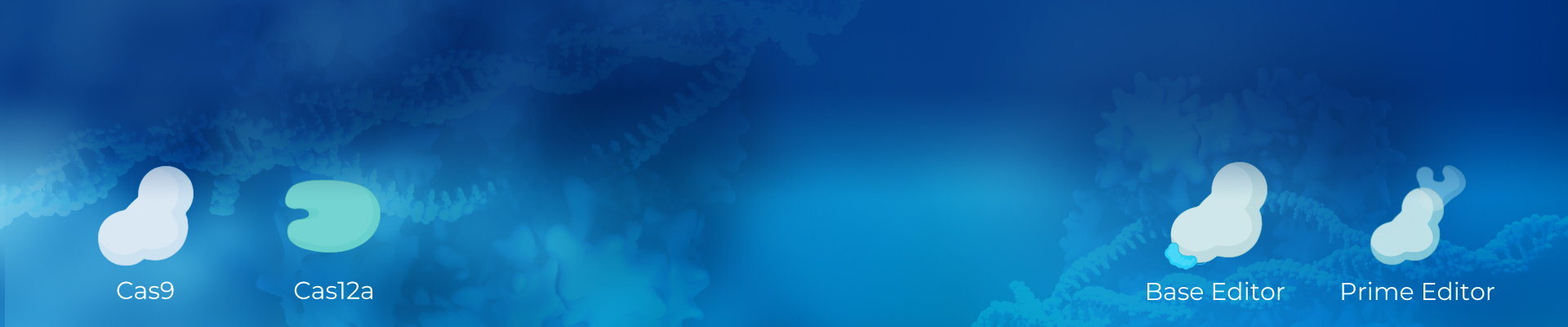 Free Cas Nuclease Sample