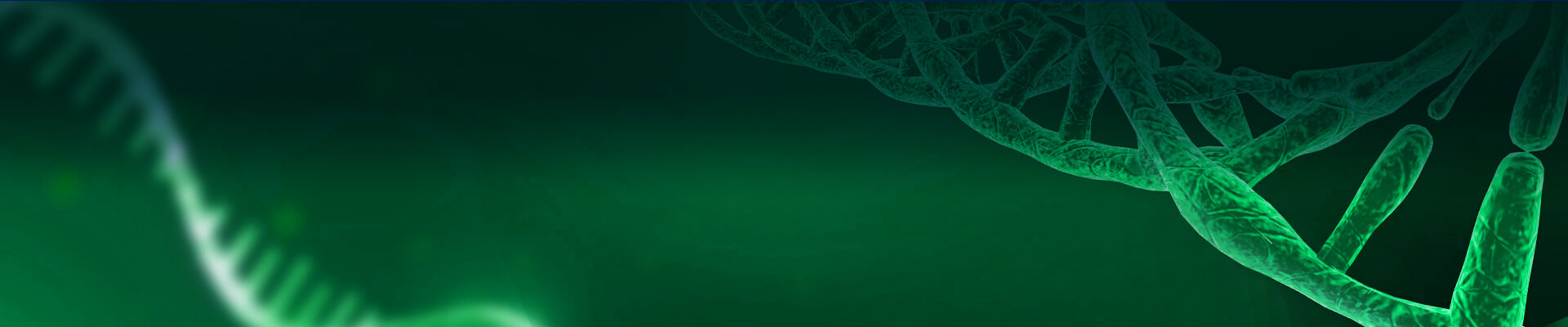 Plasmid Linearization Service