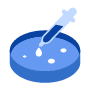 Gene Function Study