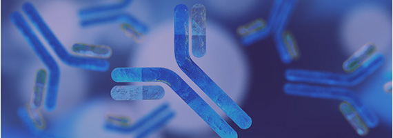 HTP Site-Directed Mutagenesis Service