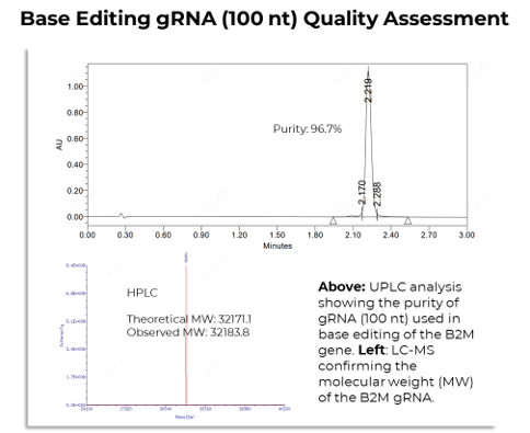 HPLC purified pegRNA (266 nt): Precise molecular weight