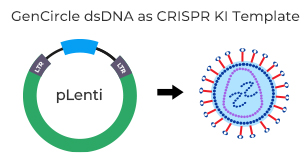 GenCircle dsDNA used as GOI nonviral vector