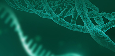 Plasmid Preparation