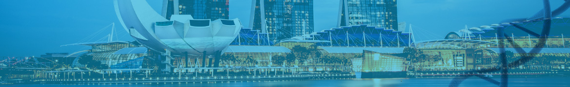 TurboCHO   Antibody Expression in Singapore