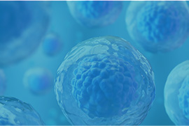TurboCHO  Stable Cell Pool & Cell Line