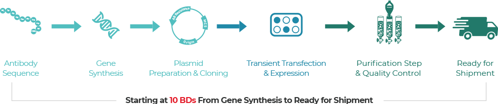 From gene synthesis to delivery workflow